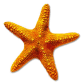Hem